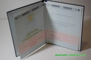 Купить диплом РИНХ — Ростовского Государственного Экономического Университета в Магнитогорске